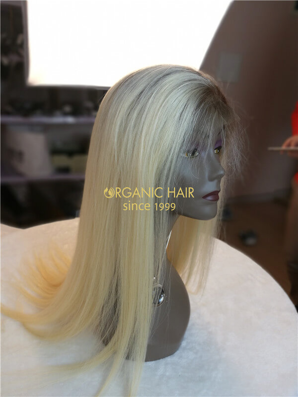 Wholesale human full lace wig cheap X6